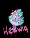 Hedwig-NamenGifs_GGS (2).gif